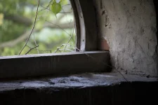 Heads in the freezer